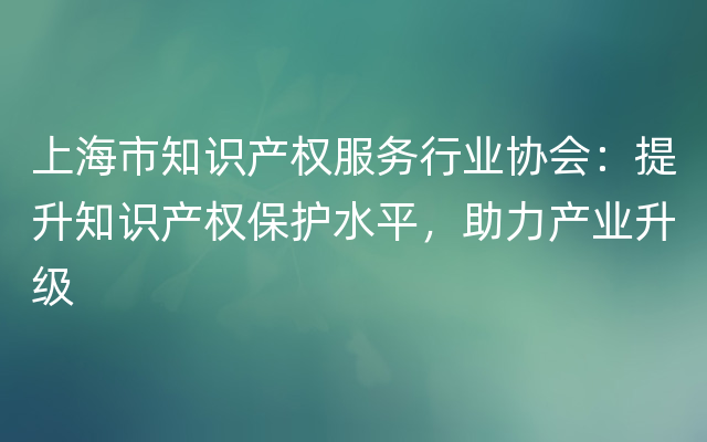 上海市知识产权服务行业协会：提升知识产权保护水平，助力产业升级