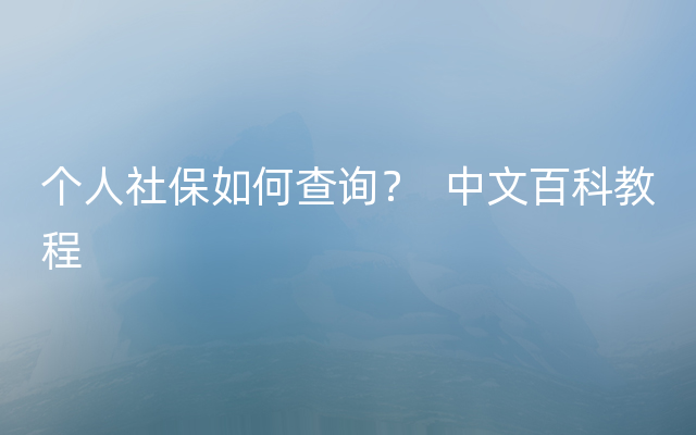 个人社保如何查询？  中文百科教程