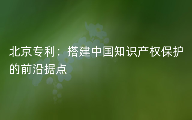 北京专利：搭建中国知识产权保护的前沿据点
