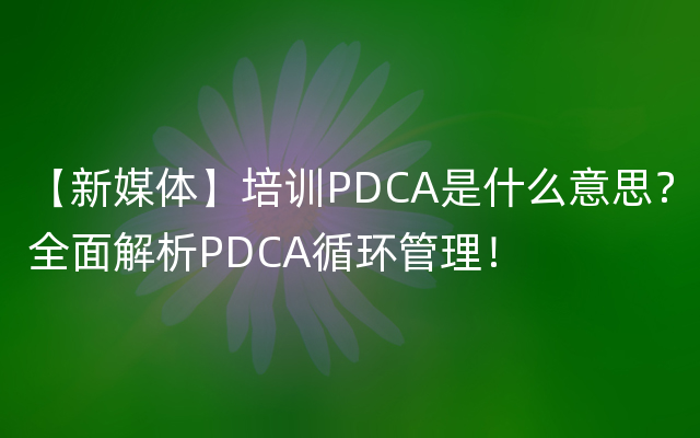【新媒体】培训PDCA是什么意思？全面解析PDCA循环管理！