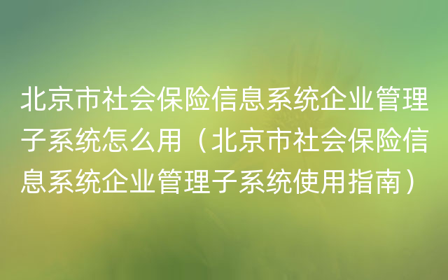 北京市社会保险信息系统企业管理子系统怎么用（北京市社会保险信息系统企业管理子系统使用指南）