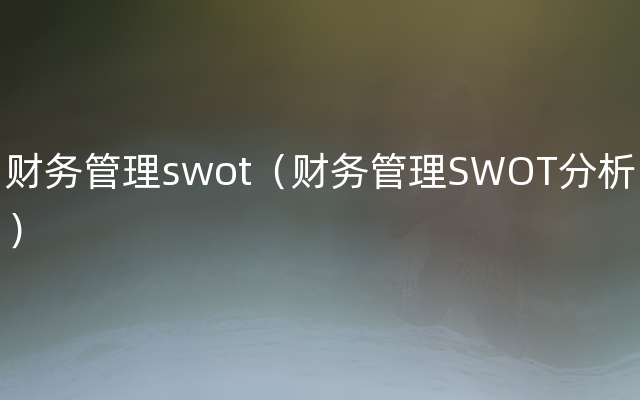 财务管理swot（财务管理SWOT分析）
