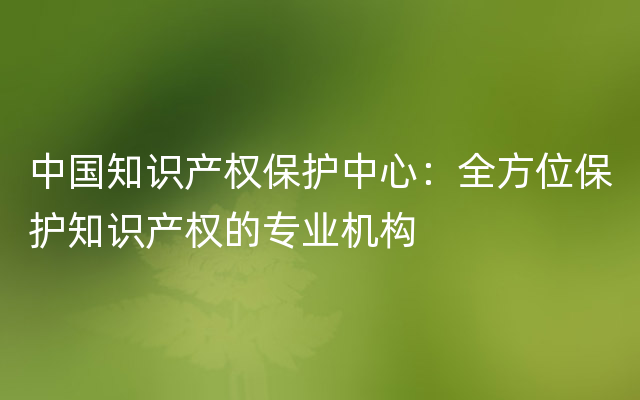 中国知识产权保护中心：全方位保护知识产权的专业机构