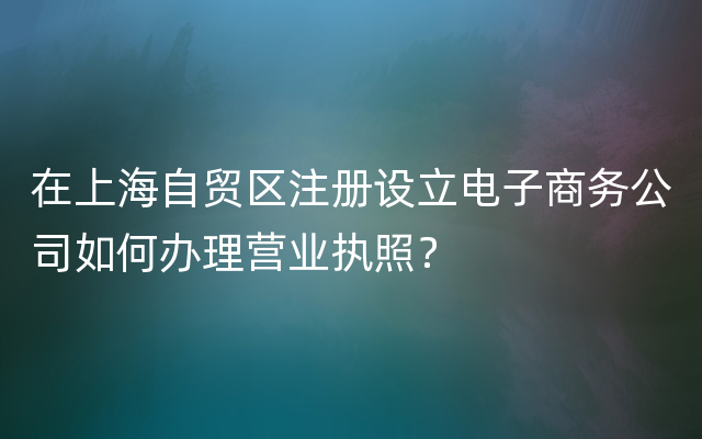 在上海自贸区注册设立电子商务公司如何办理营业执照？