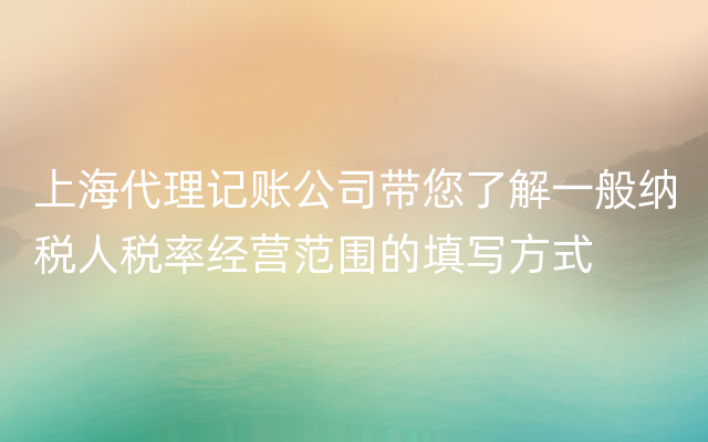 上海代理记账公司带您了解一般纳税人税率经营范围的填写方式