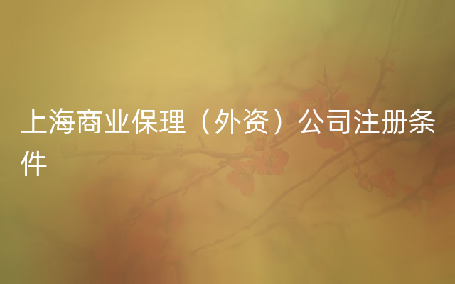 上海商业保理（外资）公司注册条件