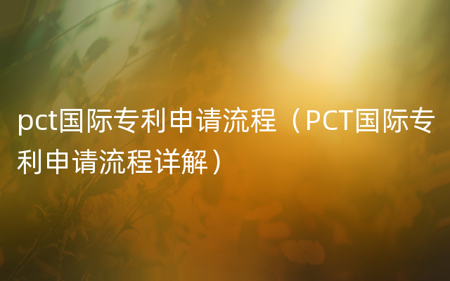 pct国际专利申请流程（PCT国际专利申请流程详解）
