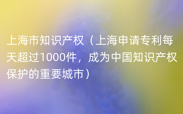上海市知识产权（上海申请专利每天超过1000件，成为中国知识产权保护的重要城市）