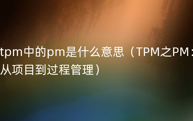 tpm中的pm是什么意思（TPM之PM：从项目到过程管理）
