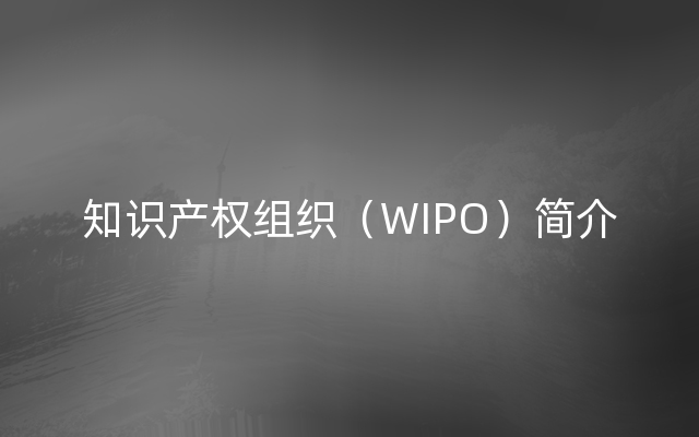 知识产权组织（WIPO）简介