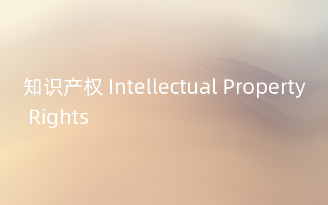 知识产权 Intellectual Property Rights