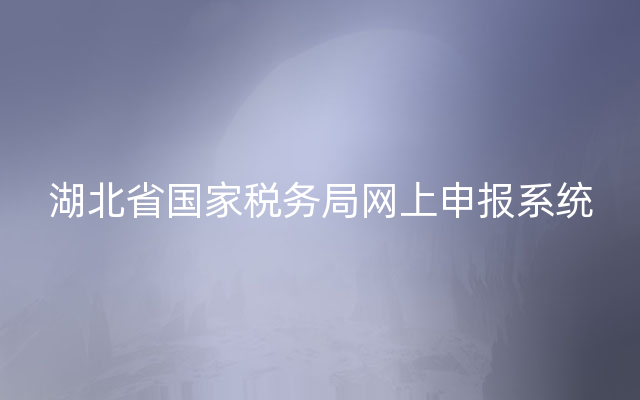 湖北省国家税务局网上申报系统