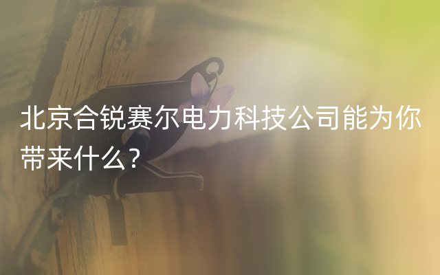 北京合锐赛尔电力科技公司能为你带来什么？