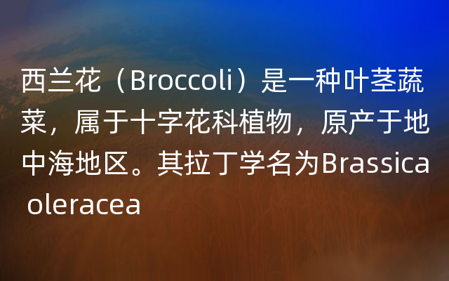 西兰花（Broccoli）是一种叶茎蔬菜，属于十字花科植物，原产于地中海地区。其拉丁学名为Brassica oleracea