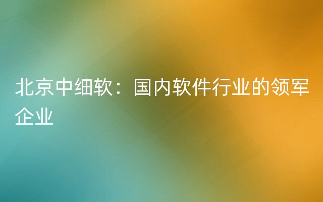 北京中细软：国内软件行业的领军企业