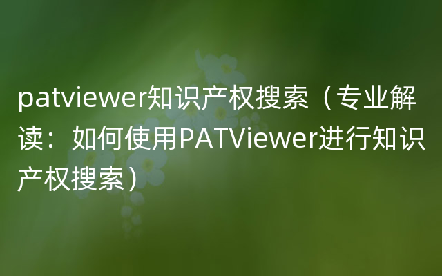 patviewer知识产权搜索（专业解读：如何使用PATViewer进行知识产权搜索）